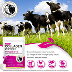 Discover Multi Collagen Peptides Powder, sourced from grass-fed bovine hide. Specially curated by Curat Cart for your health needs.