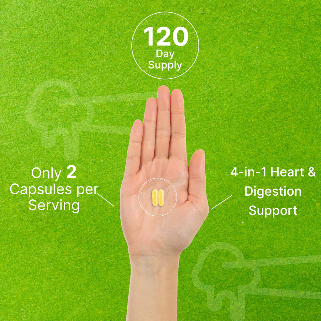 Discover the Nattokinase Supplement with Bromelain for 4-in-1 heart and digestion support. Perfect for daily use from Curat Cart.