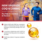 NATURE TARGET CoQ10 with PQQ L-Carnitine, specially curated by Curat Cart for enhanced heart health and energy support.