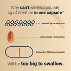 NatureBell Creatine Monohydrate Capsules showcase a unique size comparison, emphasizing quality and serving size. Available at Curat Cart.