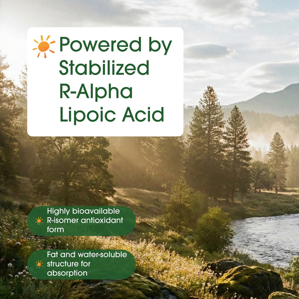 Discover NatureBell R-Alpha Lipoic Acid, a premium import with high bioavailability, ideal for enhanced absorption. Available at Curat Cart.