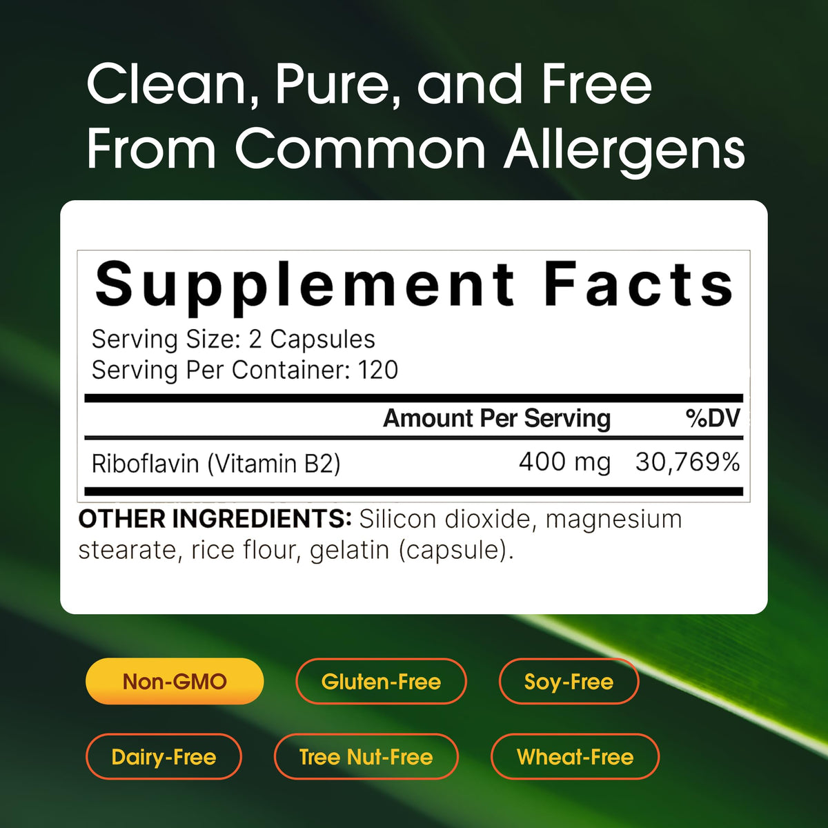 NatureBell Vitamin B2 Riboflavin features high-quality packaging with clear supplement facts. Available at Curat Cart for health-conscious consumers.