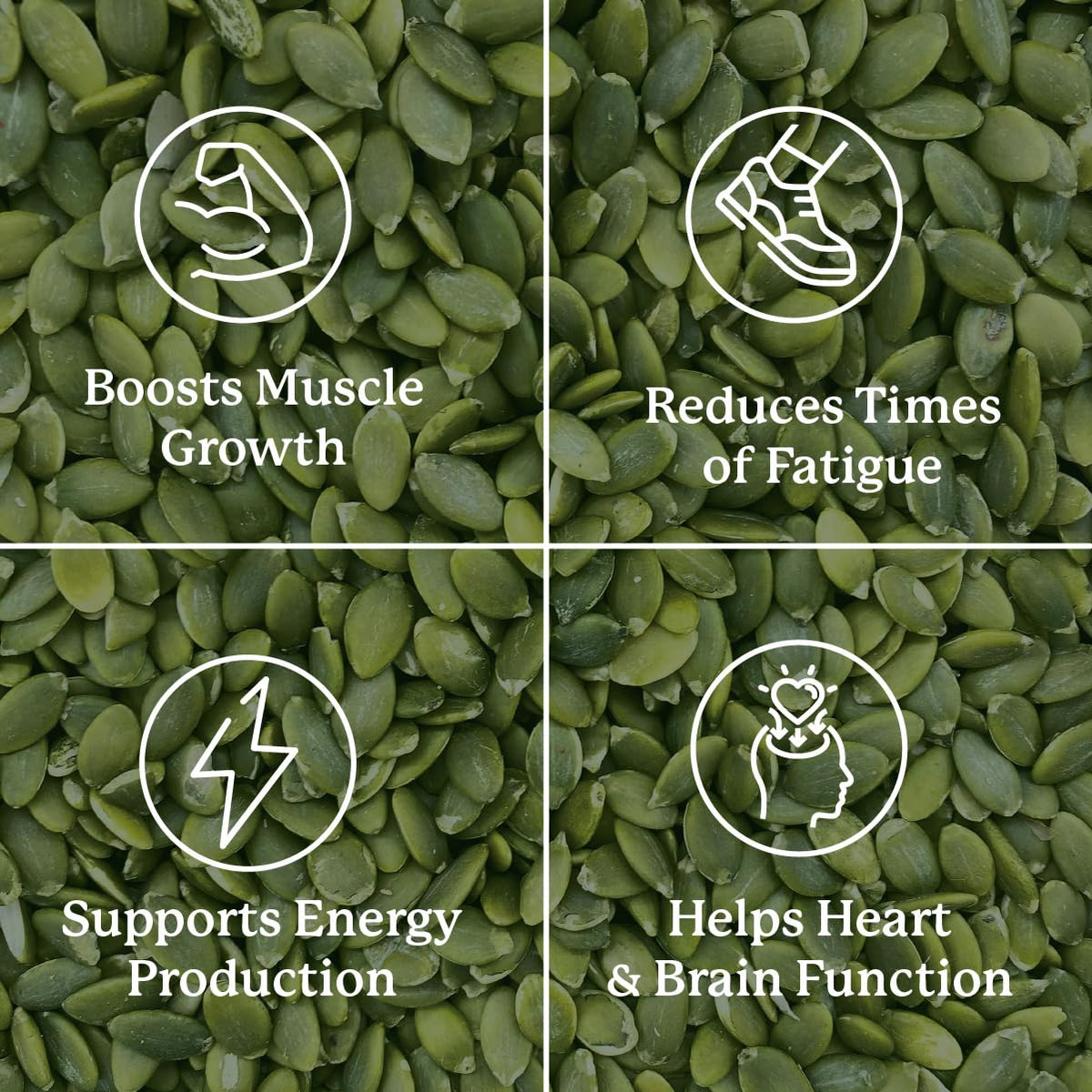 Discover Nature’s Sunshine Magnesium Complex benefits: boosts muscle growth, reduces fatigue, supports energy production, and aids heart & brain function. Perfect for daily use from Curat Cart.