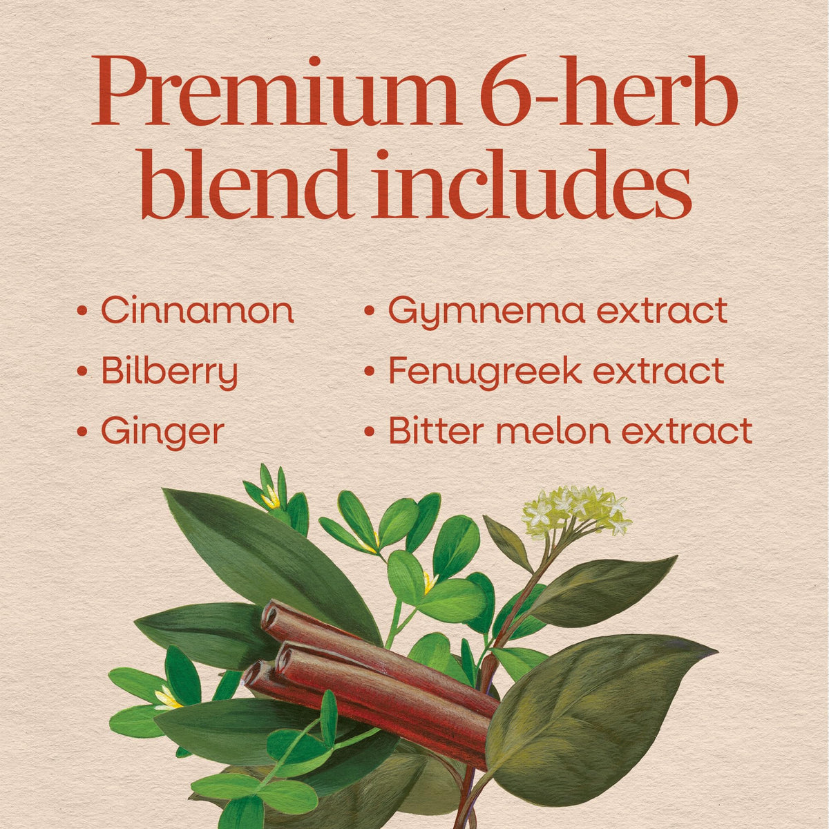 Nature's Way Blood Sugar Blend features a premium mix of 6 herbs including cinnamon and bilberry. 100% Authentic, available at Curat Cart in India.