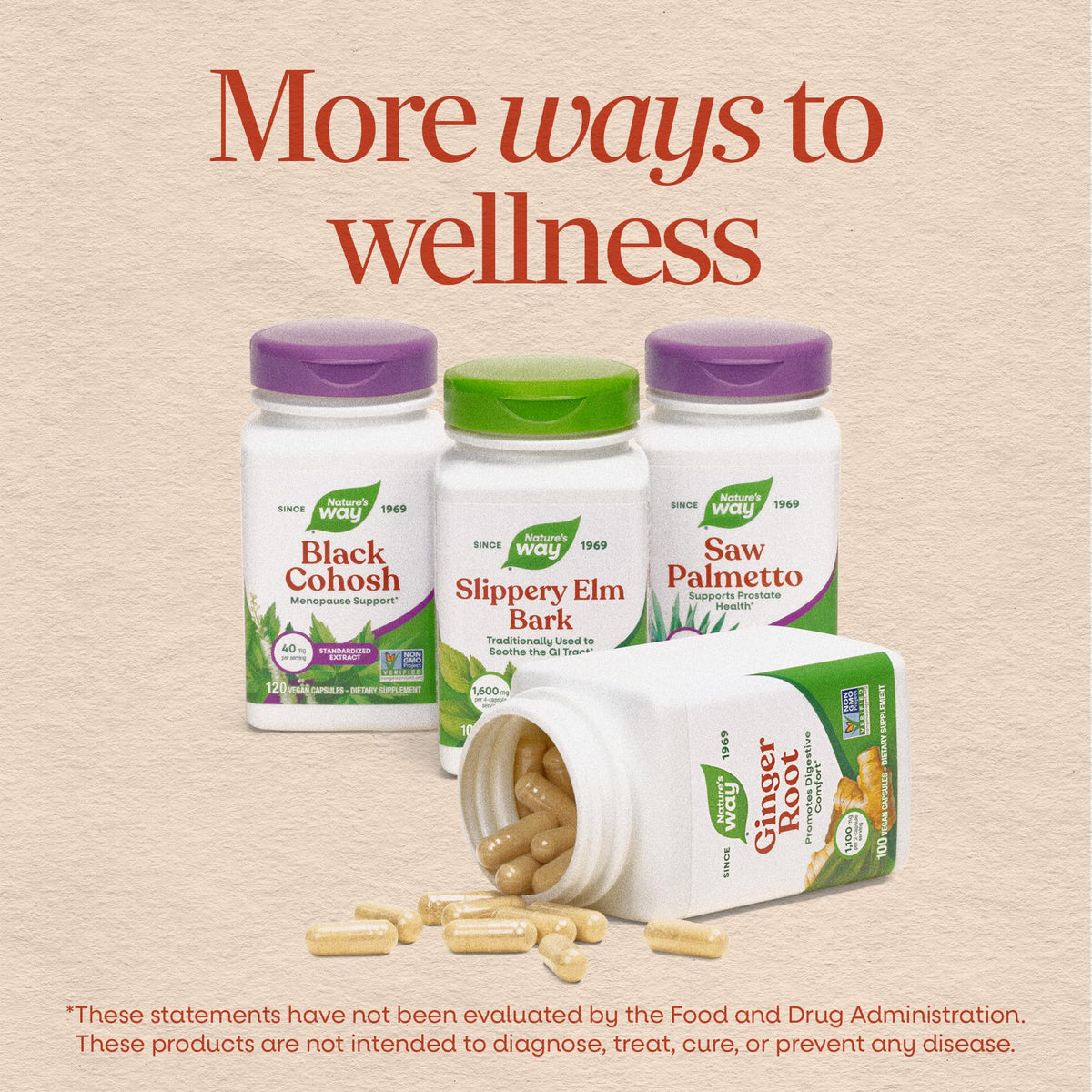 Explore Nature's Way Blood Sugar Blend in premium packaging, showcasing quality supplements for wellness at Curat Cart.