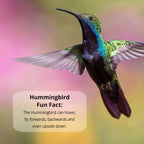 Nectar Defender Hummingbird Nectar enhances feeding for hummingbirds. 100% Authentic, available at Curat Cart in India.