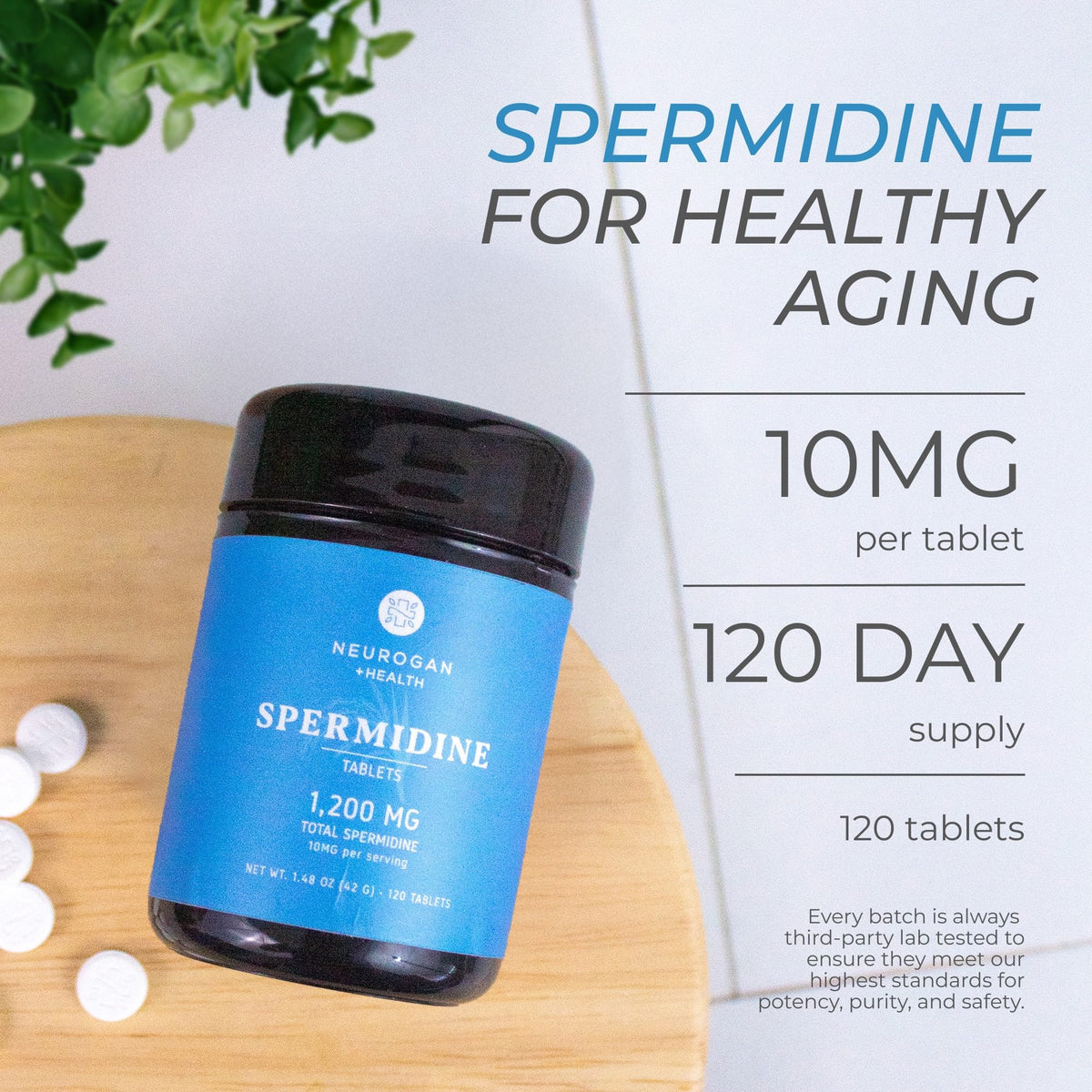 Neurogan Spermidine Supplement promotes healthy aging with 1,200 MG per serving. Specially curated by Curat Cart for premium quality.