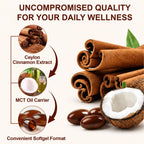 Ninsiec Ceylon Cinnamon with MCT Oil in high-quality packaging, featuring convenient softgels for daily wellness. Available at Curat Cart.