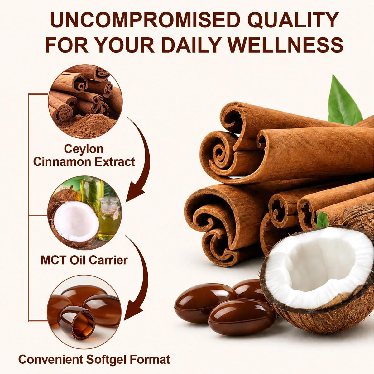 Ninsiec Ceylon Cinnamon with MCT Oil in high-quality packaging, featuring convenient softgels for daily wellness. Available at Curat Cart.