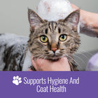 Nizoral Ketoconazole Pet Shampoo promotes hygiene and coat health for pets. A premium import available at Curat Cart.