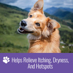 Nizoral Ketoconazole Pet Shampoo helps relieve itching, dryness, and hotspots. Specially curated by Curat Cart.