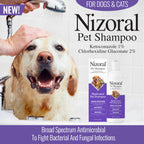 Nizoral Pet Shampoo for dogs and cats, 100% Authentic at Curat Cart, combats bacterial and fungal infections effectively.