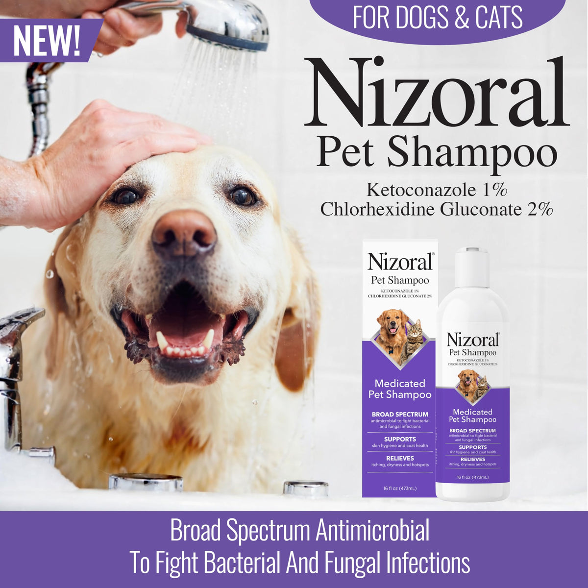 Nizoral Pet Shampoo for dogs and cats, 100% Authentic at Curat Cart, combats bacterial and fungal infections effectively.
