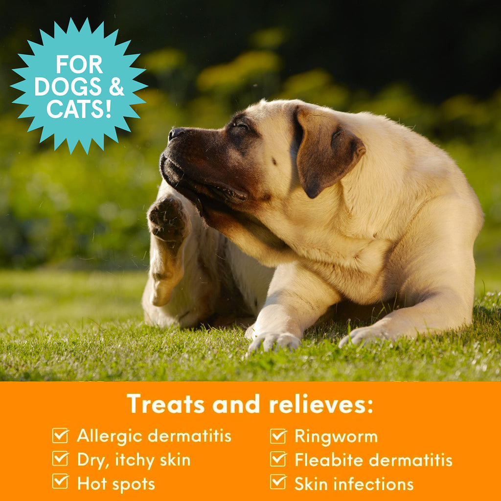 Nootie Medicated Pet Shampoo treats dermatitis, ringworm, and more. 100% Authentic, available at Curat Cart in India.
