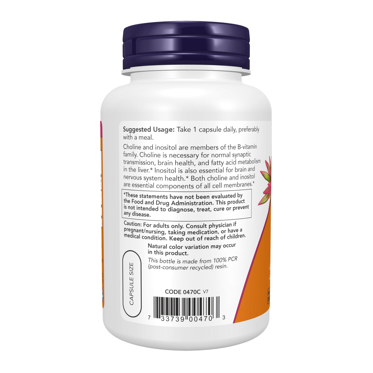 Premium imported NOW Foods Choline & Inositol supports brain health and nerve function in a convenient capsule.
