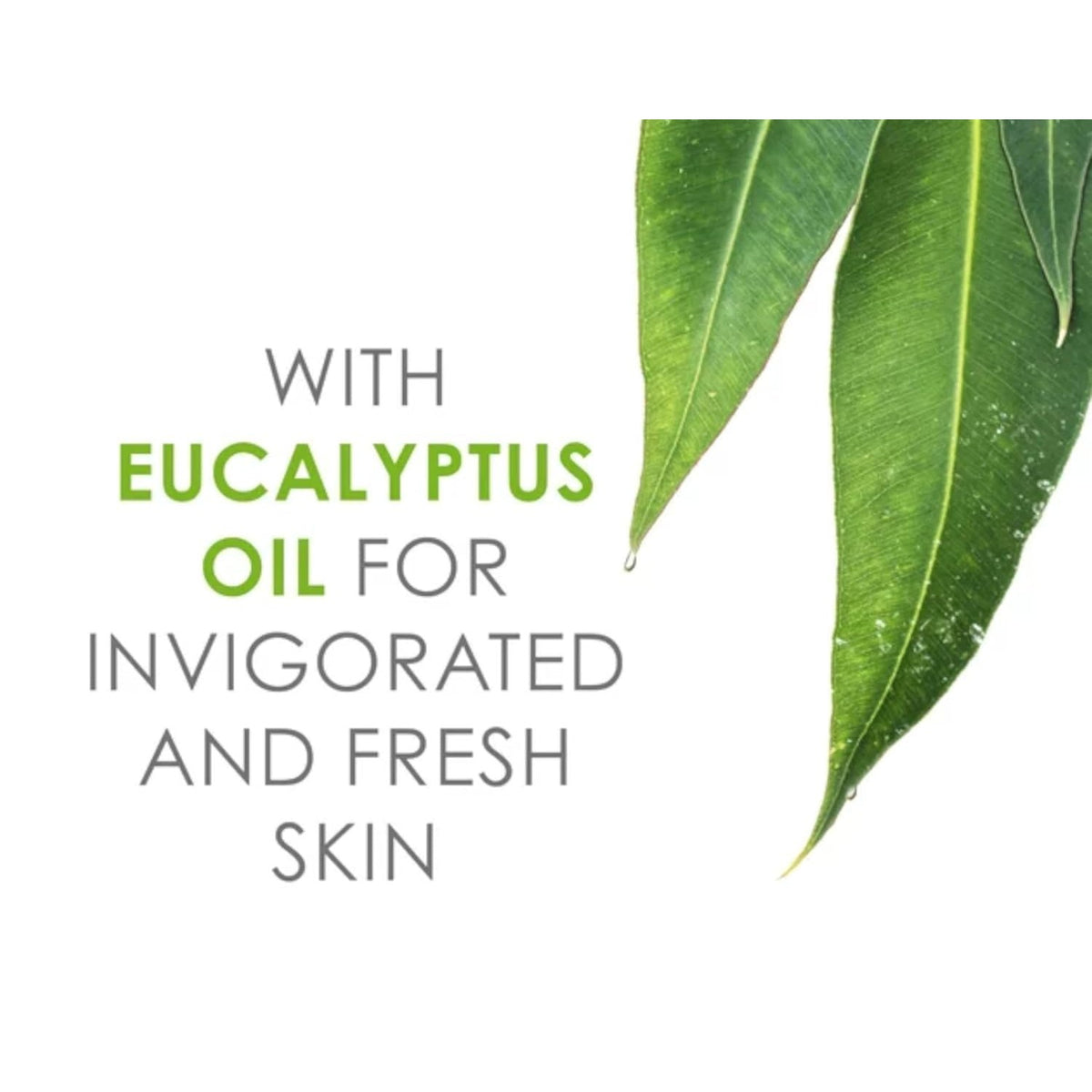 Noxzema Classic Clean Cleanser with eucalyptus oil for fresh skin. Available in India, order online today.