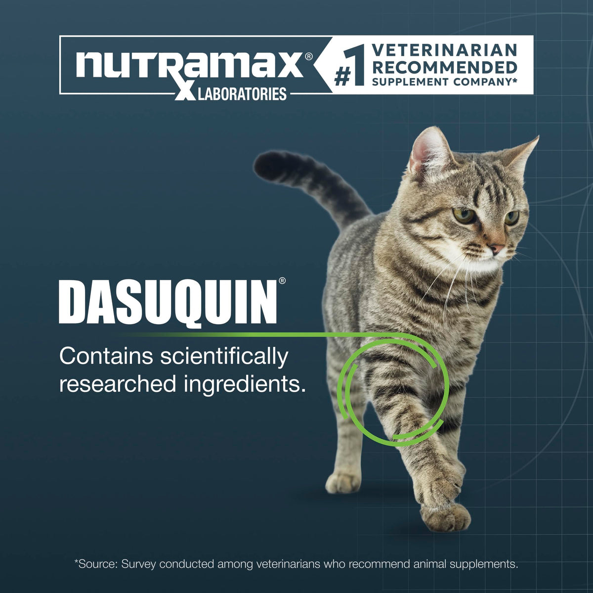 Nutramax Dasuquin Joint Health Supplement in official packaging, featuring scientifically researched ingredients for pet wellness. Available at Curat Cart.
