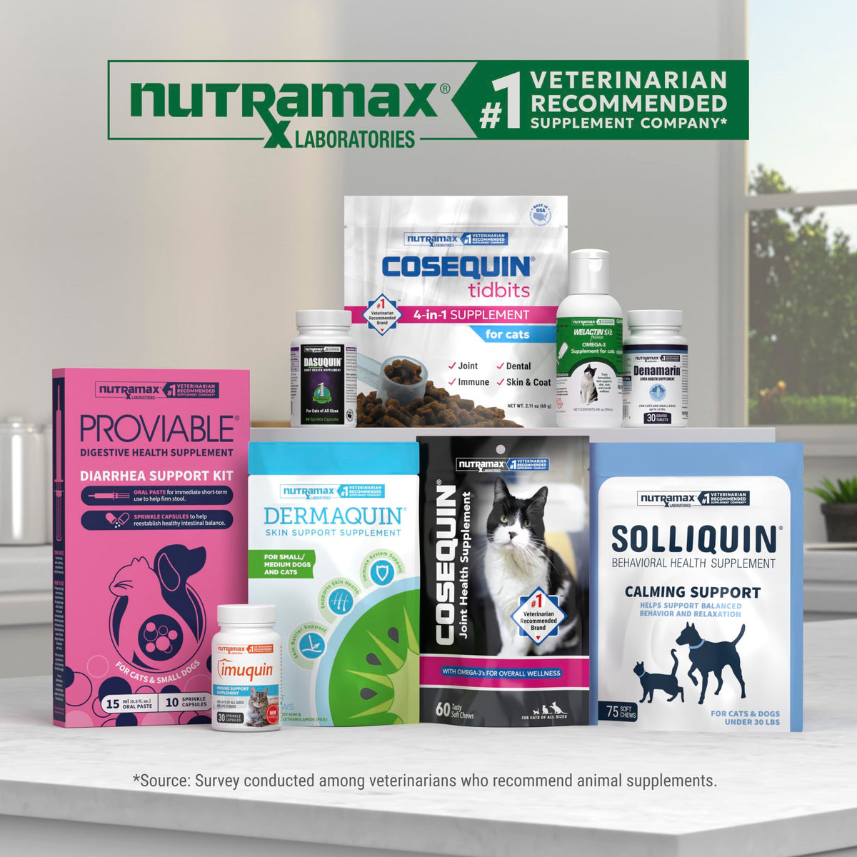 Explore Nutramax Dasuquin Joint Health Supplement, a veterinarian-recommended choice for joint support, available at Curat Cart.