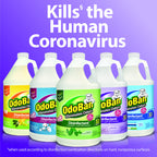 OdoBan Disinfectant Odor Eliminator bottles, perfect for daily hygiene. Shop now at Curat Cart for effective odor elimination.