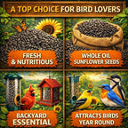 Discover Office Roast Premium Black Sunflower Seeds, specially curated by Curat Cart for bird lovers, ensuring fresh and nutritious offerings.