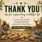 Premium Office Roast Raw Peanuts in high-quality packaging, promoting wildlife support from Curat Cart. Enjoy a natural snack today.