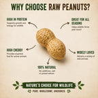 Raw Peanuts from Curat Cart, 100% natural, high in protein, perfect for wildlife. Enjoy healthy snacking with no additives.