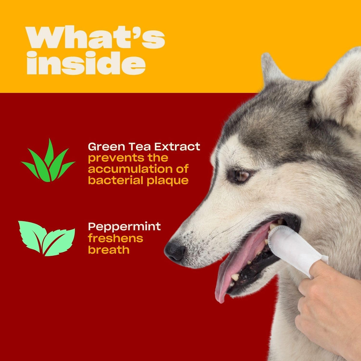 OH NORMAN Dog Dental Wipes feature green tea extract to prevent plaque and peppermint for fresh breath, all in premium packaging from Curat Cart.
