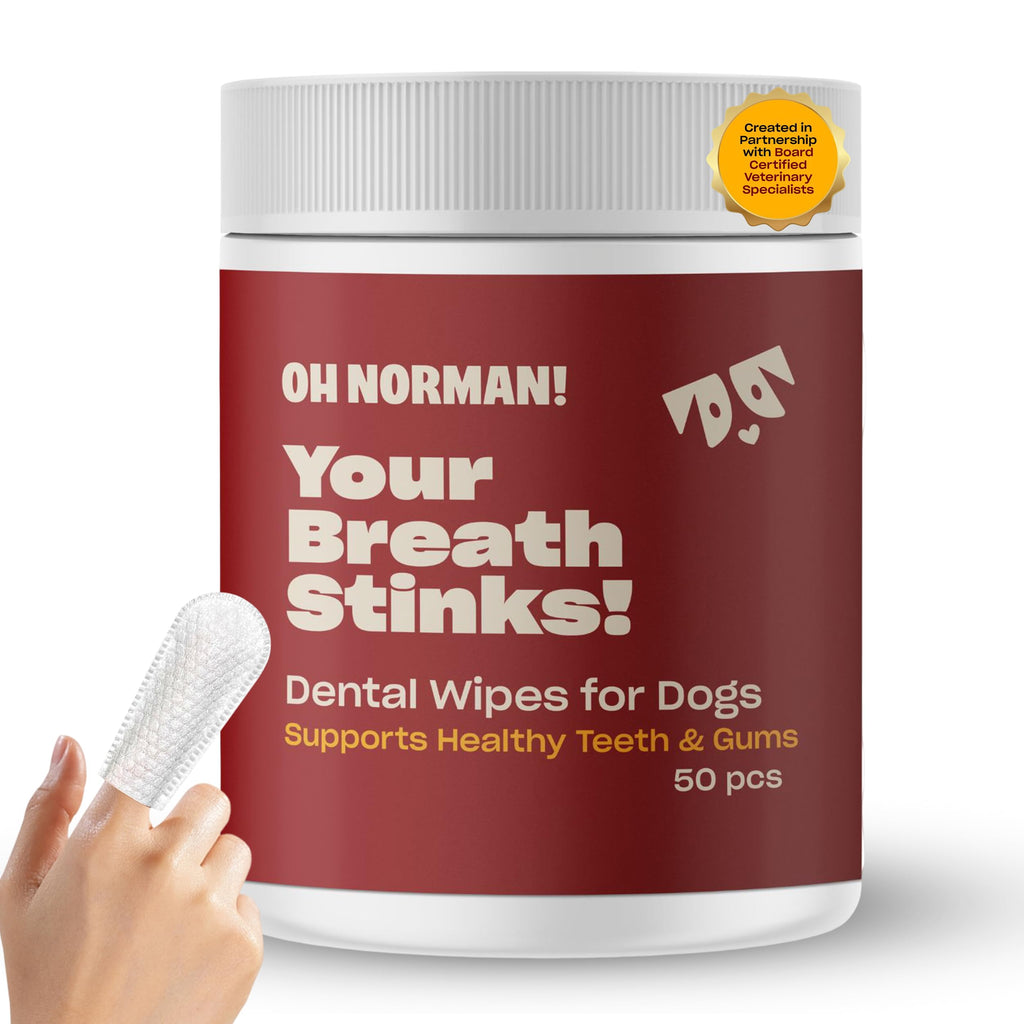 OH NORMAN Dog Dental Wipes, a premium import from Curat Cart, support healthy teeth and gums for dogs. Enjoy fresher breath today.