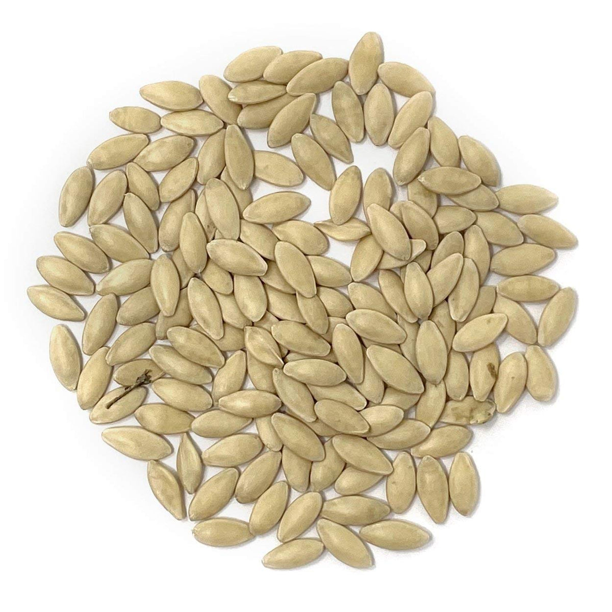 Organic Cucumber Seeds Marketmore 76, 100% Authentic and available at Curat Cart for gardening enthusiasts in India.