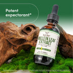 Discover Organic Mullein Leaf Drops, specially curated by Curat Cart, for effective lung support and health benefits.
