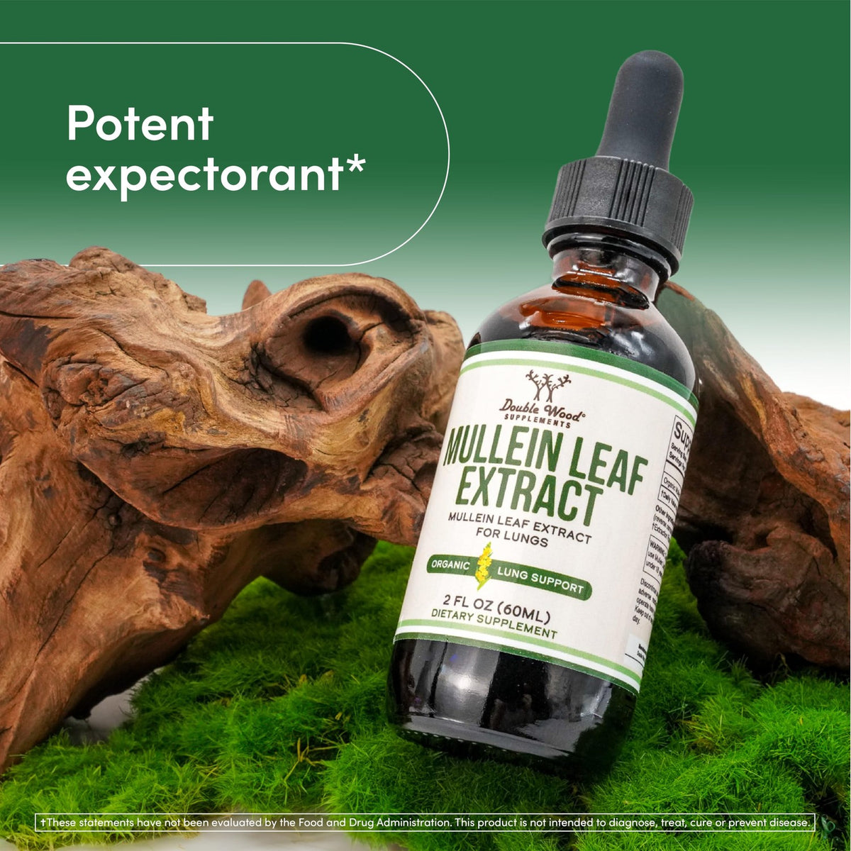 Discover Organic Mullein Leaf Drops, specially curated by Curat Cart, for effective lung support and health benefits.