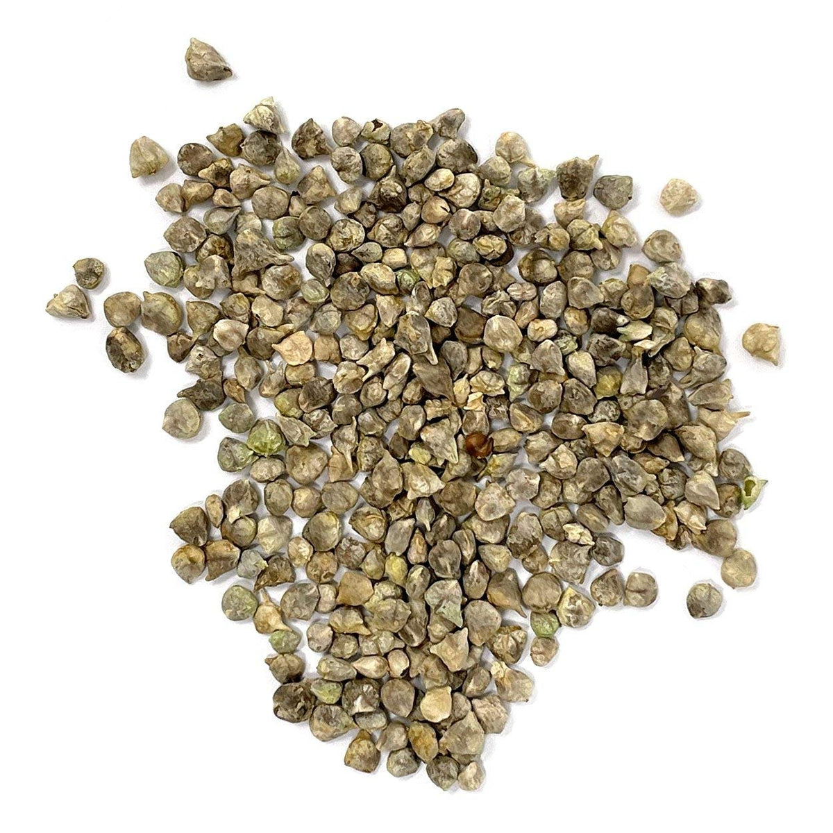Premium Organic Spinach Seeds Bloomsdale, 100% Authentic, available at Curat Cart in India for your gardening needs.