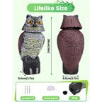 Premium imported owl decoys to scare birds, featuring lifelike design and size. Available at Curat Cart.