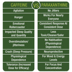 High-quality packaging of Paraxanthine Capsules for Energy, promoting focus and concentration. Available at Curat Cart.