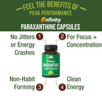 Experience clean energy and focus with Paraxanthine Capsules, specially curated by Curat Cart for peak performance.