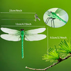 Stylish PCTC 8 Pcs Dragonfly Clips in high-quality finish, perfect for enhancing your decor. Available at Curat Cart.