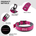Personalized dog collar with reflective nylon webbing and high-quality finish, available at Curat Cart for your pet's safety and style.
