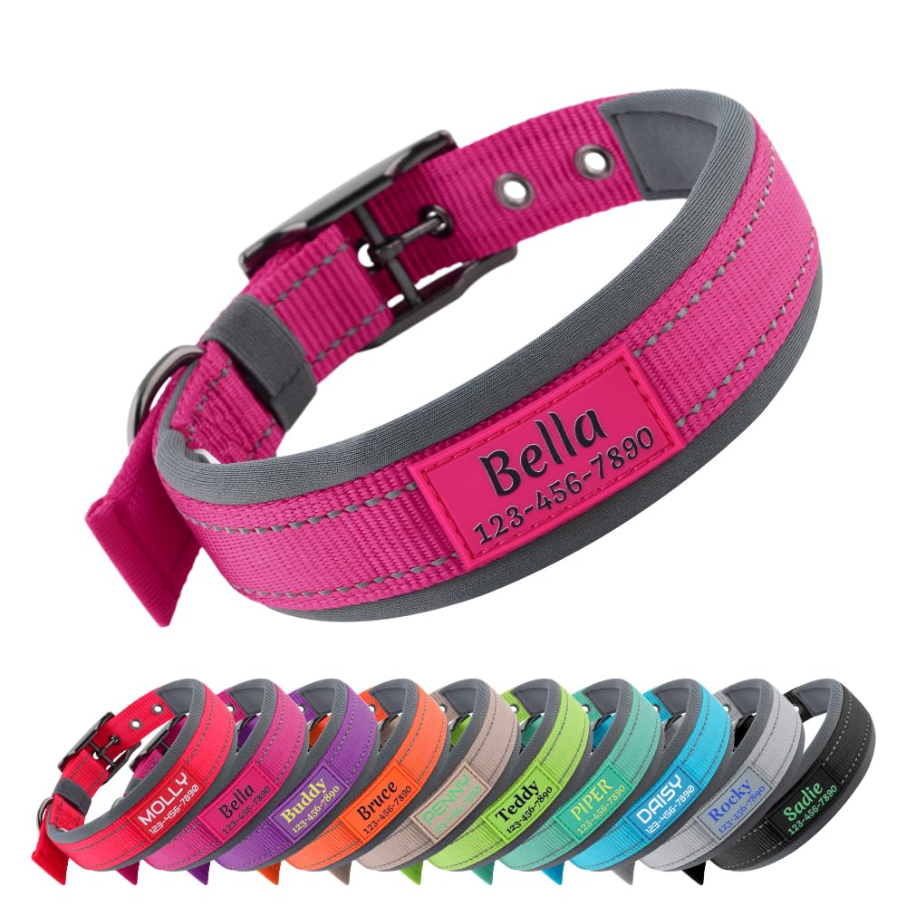 Discover the premium imported personalized dog collar from Curat Cart, featuring vibrant colors and customizable name tags for your furry friend.