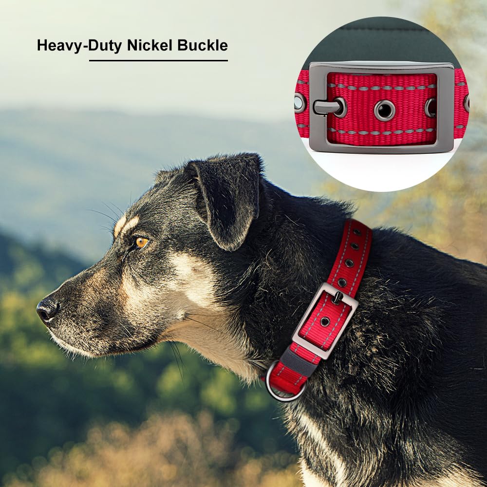 Discover the personalized dog collar with a heavy-duty nickel buckle, specially curated by Curat Cart for your beloved pet.