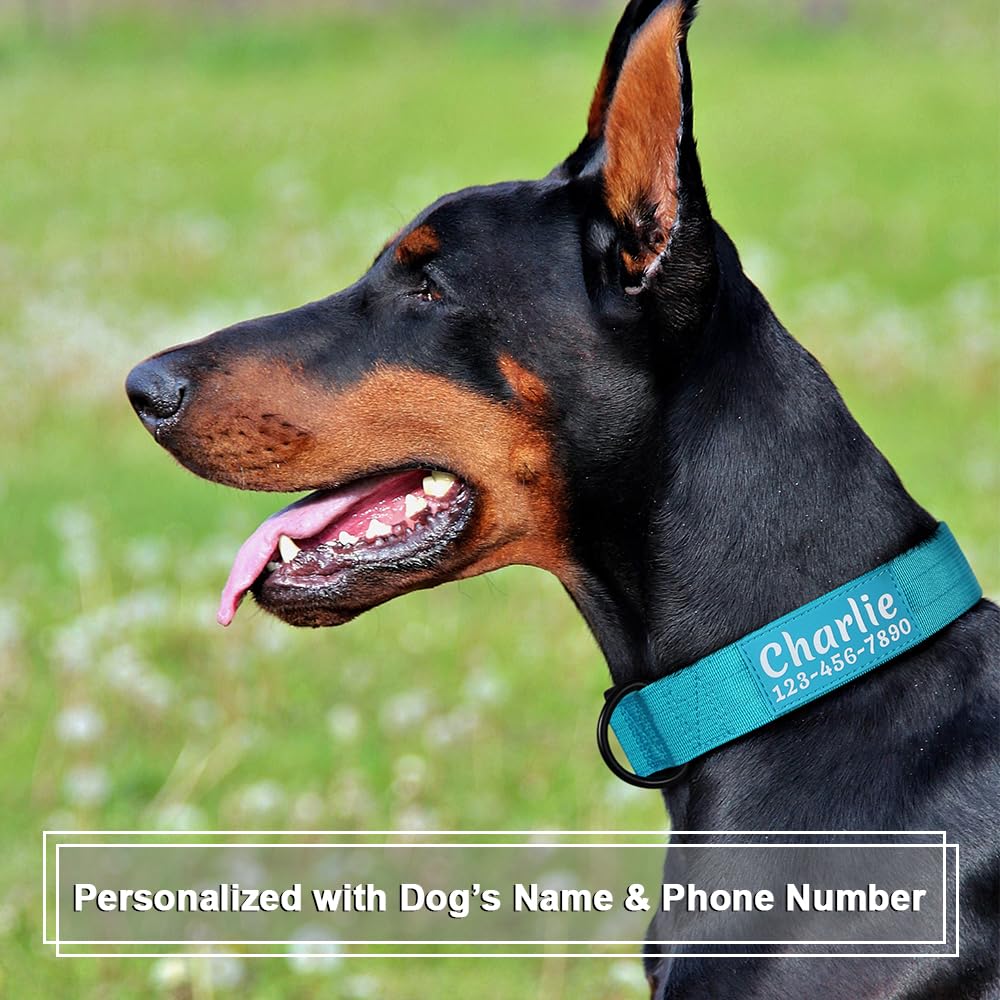 Personalized Tactical Dog Collar with dog's name and phone number, available at Curat Cart in India. 100% Authentic.
