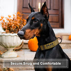 Stylishly curated Personalized Tactical Dog Collar by Curat Cart, ensures comfort and security for your pet. Perfectly designed for exclusivity.