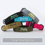 Explore personalized tactical dog collars in vibrant colors, perfect for daily use. Find yours at Curat Cart.