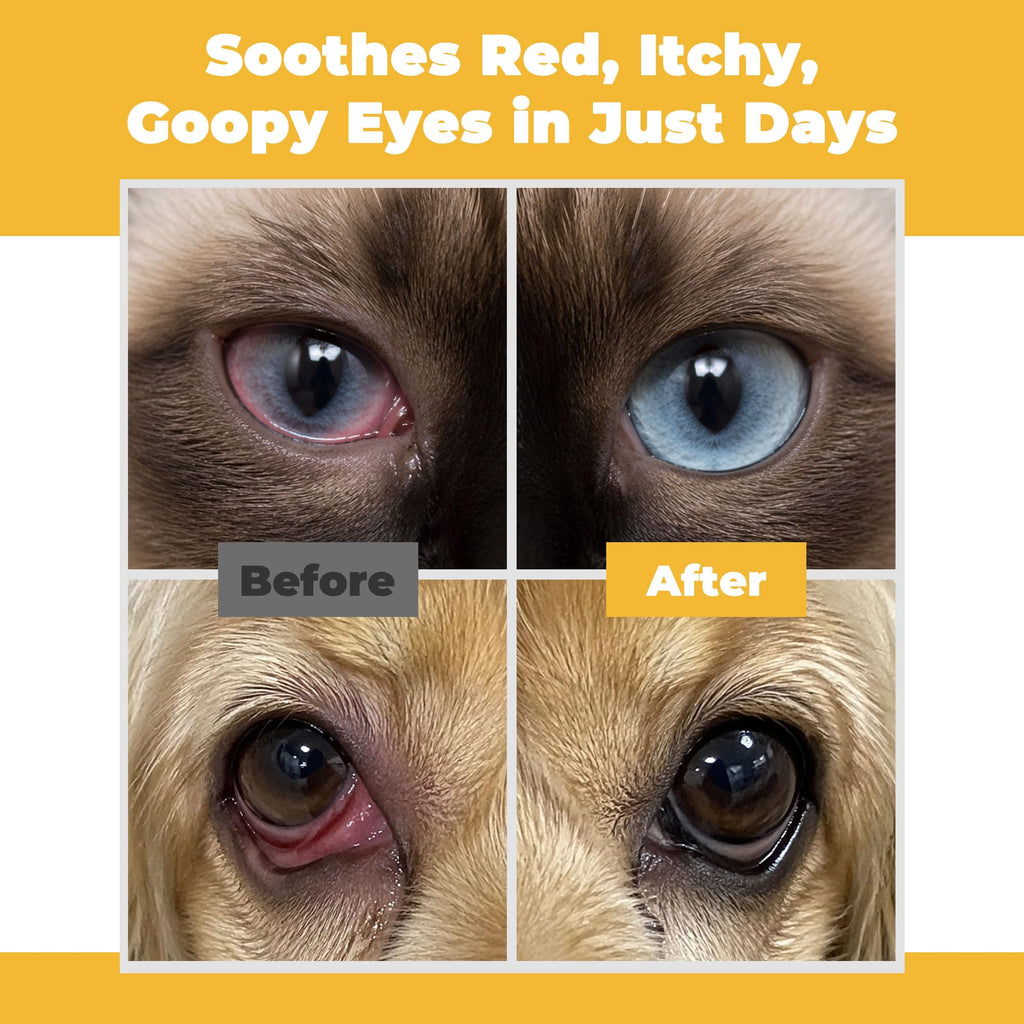 Transform your pet's eye health with Curat Cart's premium Pet Eye Health for Animals, showcasing impressive before and after results.