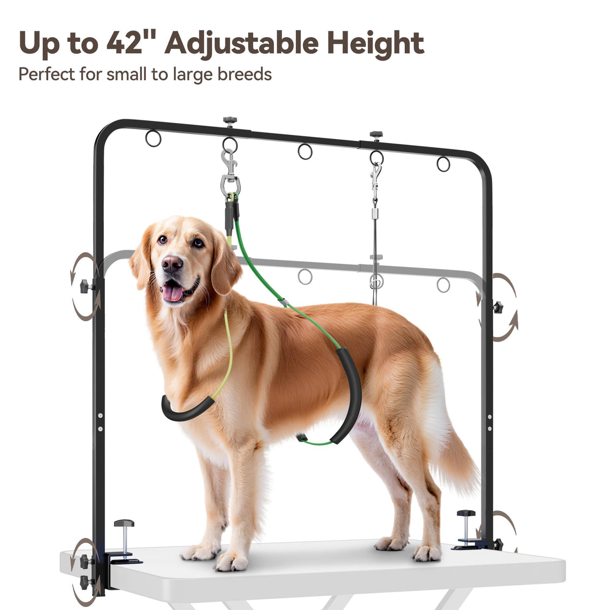 Discover the Pet Grooming Arm with Hammock, specially curated by Curat Cart for effortless grooming of all dog breeds.