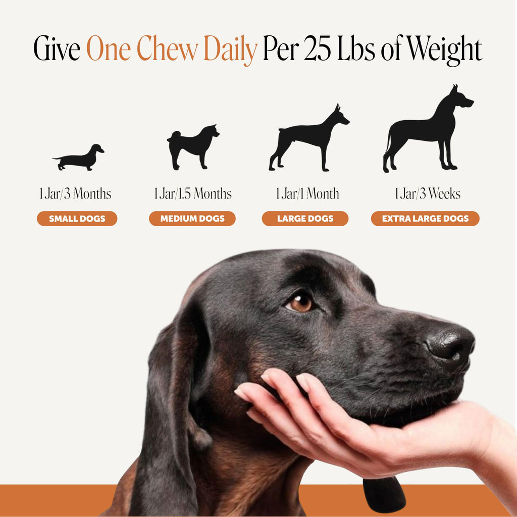 Premium imported Pet Honesty Flea and Tick Chews dosage guide for different dog sizes, available at Curat Cart.