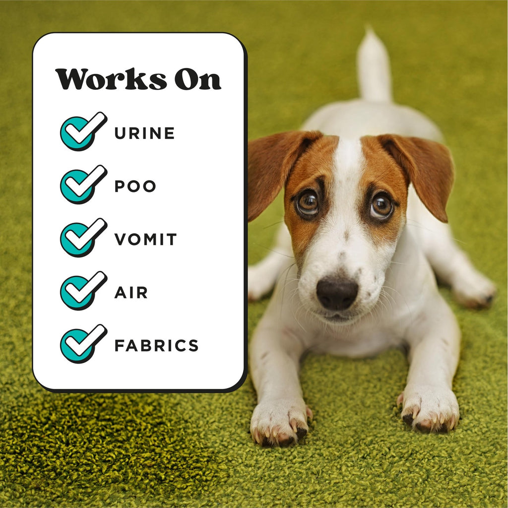 Pet-Pourri Deodorizer Spray effectively tackles urine, poo, vomit, air, and fabrics. 100% Authentic and available at Curat Cart.