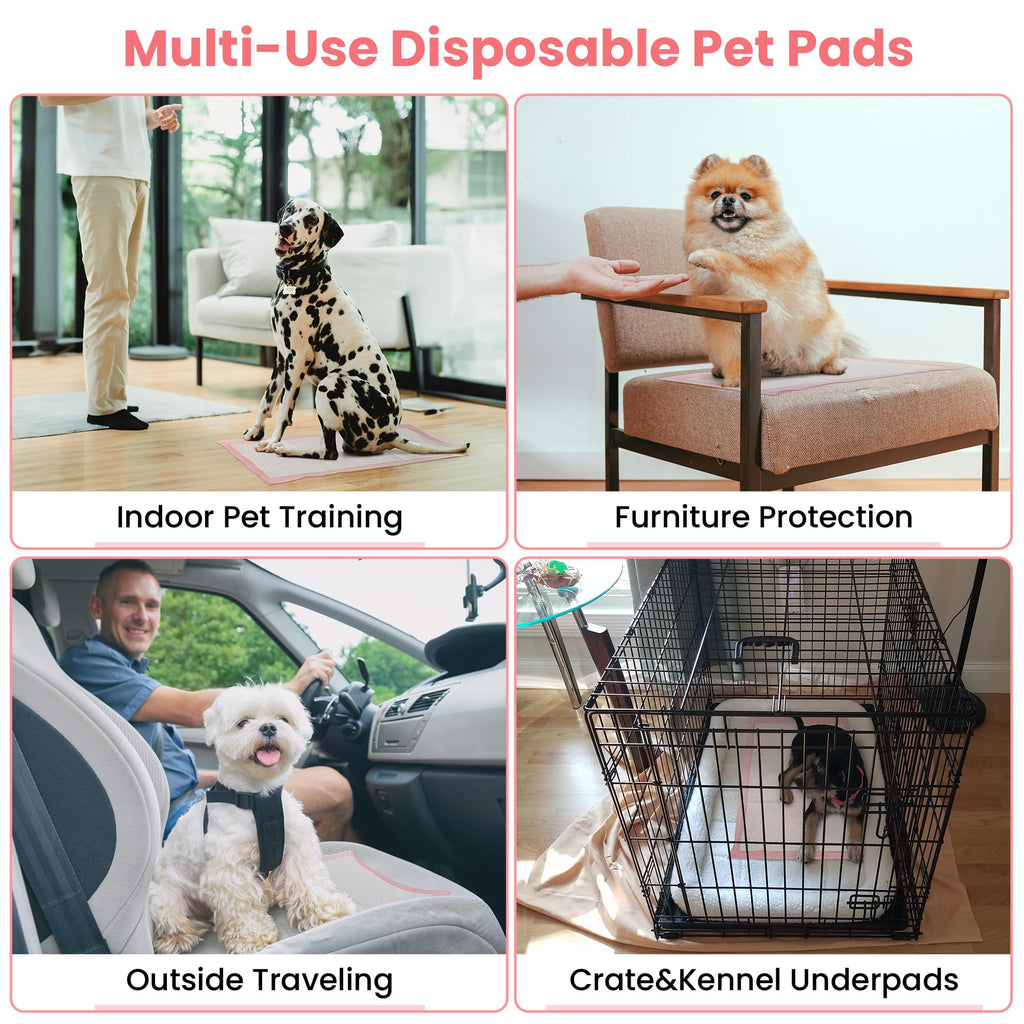 Versatile Pet Toilet Training Pads in official packaging for indoor training, travel, and crate use. Available at Curat Cart.