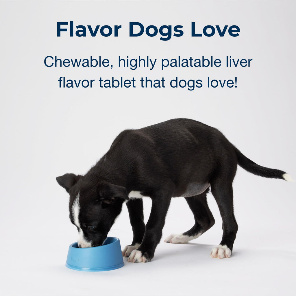 Chewable PetAg Sure Grow 100 liver flavor tablet, ideal for daily use. Available at Curat Cart for your dog's health.