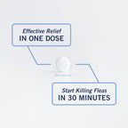 PetArmor CAPACTION Oral Flea Tablets offer effective relief in one dose, imported premium product available at Curat Cart.