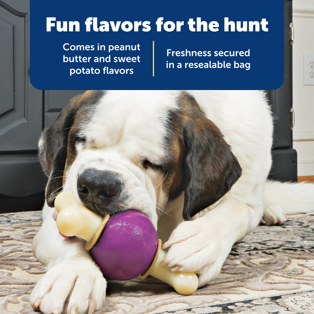 Discover PetSafe Busy Buddy Treat Rings, featuring fun flavors and freshness secured in a resealable bag. Exclusively at Curat Cart.